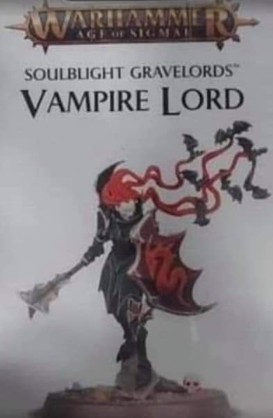 A blurry, poorly-lit image of the box art for a new Vampire model, with simple spiked black armour and long hair with bats flying out of it.